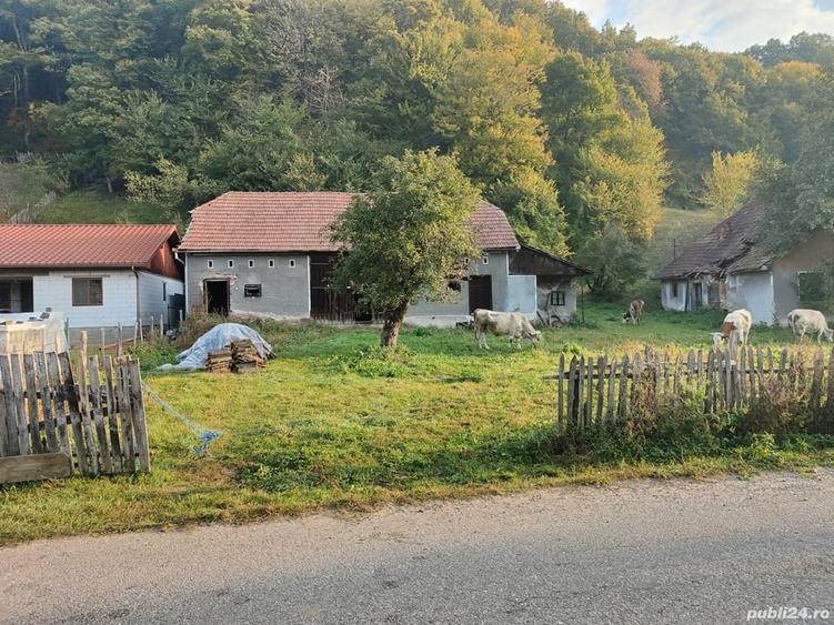 Casă cu 4 camere cu Teren 7000 Mp în Almașu Mare