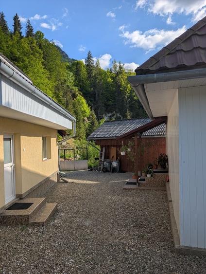 Casă cu 3 camere în Vidra