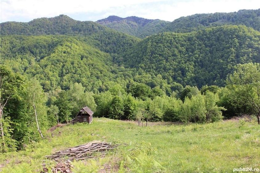 Teren în Malaia