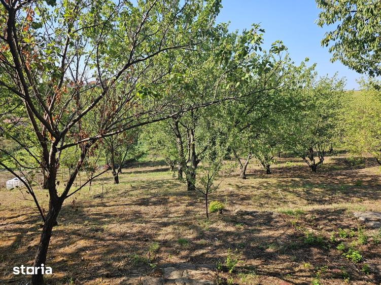 Casă cu 4 camere cu Teren 3000 Mp în Nicolina