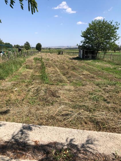 Teren Construcții de 1300 mp, în Vințu de Jos