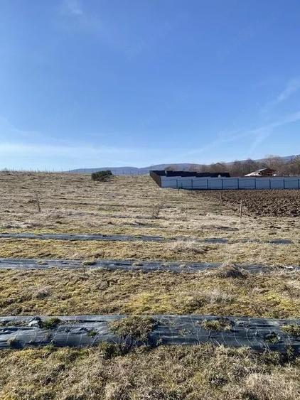 Teren extravilan de vanzare in Sfantu Gheorghe - 3