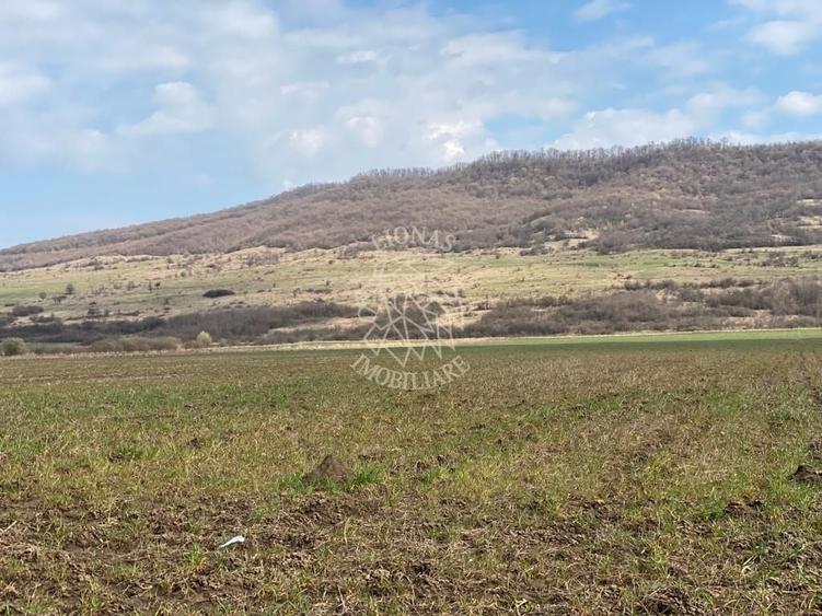 Teren Construcții intravilan de 3750 mp, în Podirei