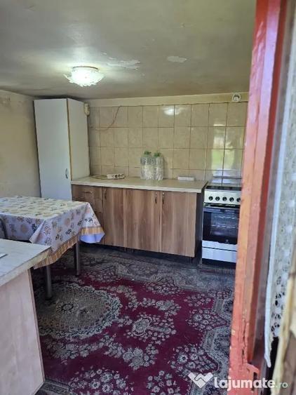 Casa + teren de vanzare - 13