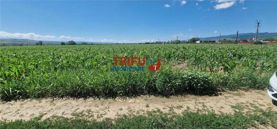 Teren agricol extravilan de 5100 mp, în Periferie