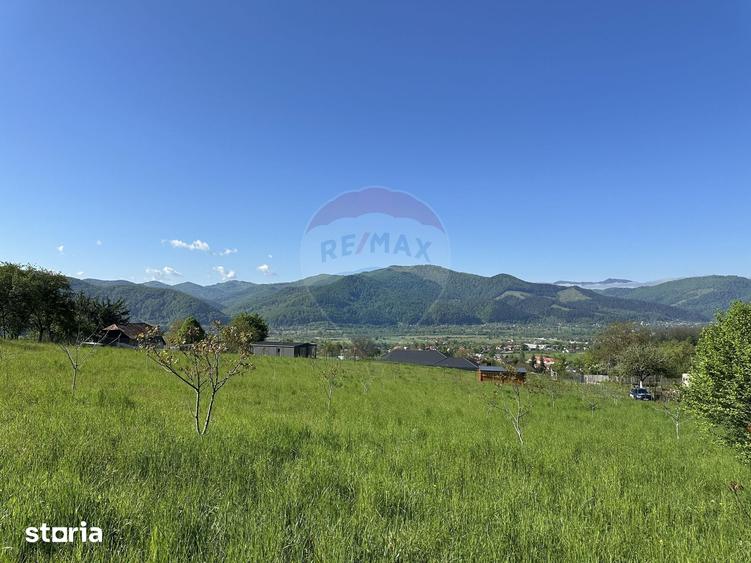 Teren de 1000 mp, în Alexandru cel Bun