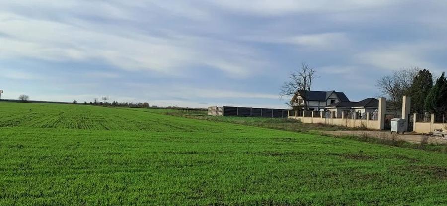 Teren Construcții intravilan de 14000 mp, în Lazu