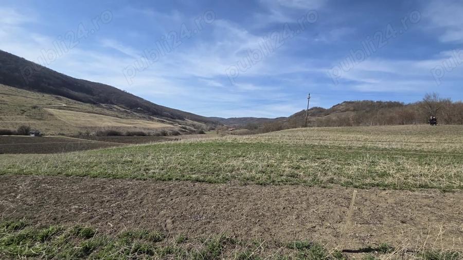 Teren de 600 mp, în Central