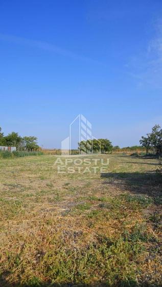 Teren Construcții intravilan de 13200 mp, în Foeni