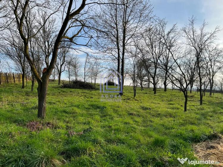 Teren de 4872 mp, în Antoceni