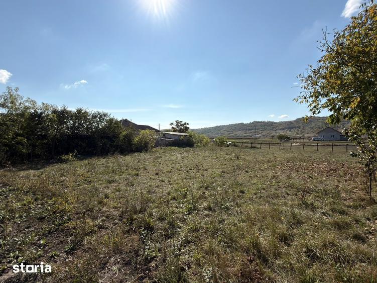 Teren de 1688 mp, în Erbiceni