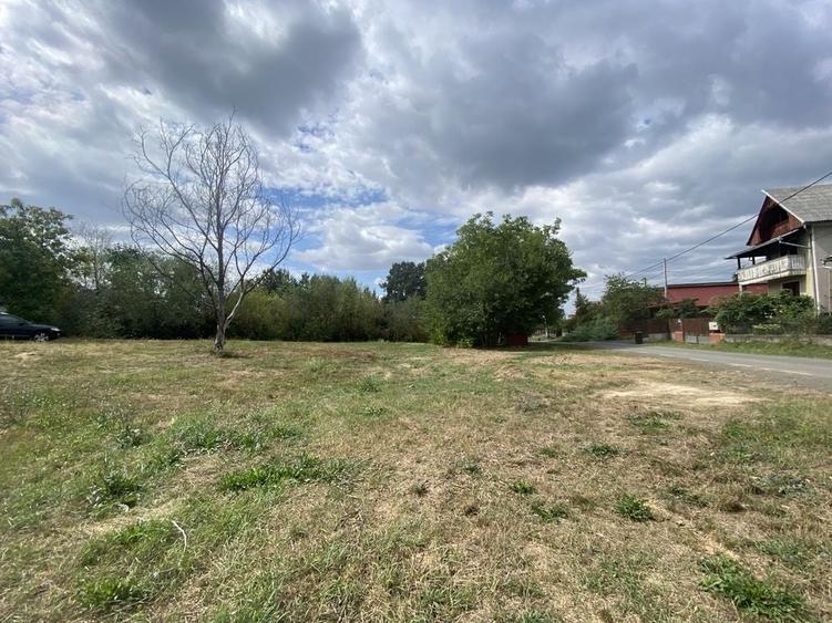 Teren de 1450 mp, în Satu Nou de Jos