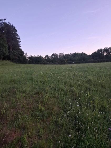 Teren de 3000 mp, în Luna