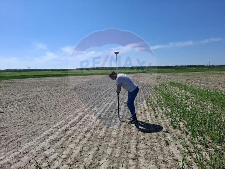 Teren Construcții intravilan de 1350 mp, în Brănești