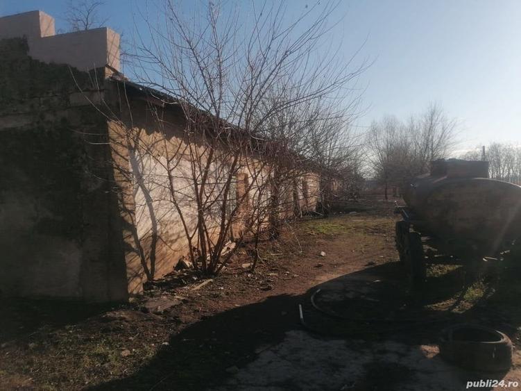Teren de 1335 mp, în Grădiștea