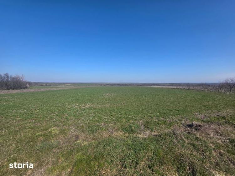 Teren de 3800 mp, în Mischii