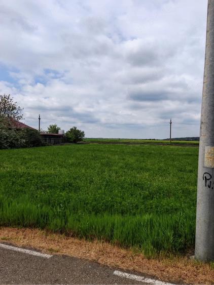 Teren de 1000 mp, în Gostilele