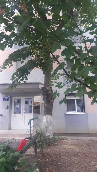 Apartament cu 2 camere semidecomandat în Iosia