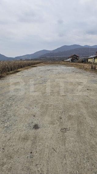 Teren Construcții intravilan de 2600 mp, în Șoimuș