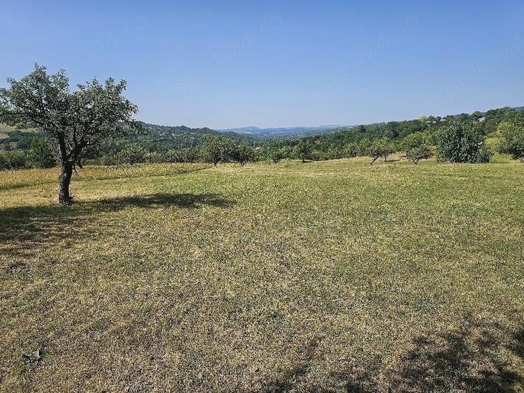 Teren de 11033 mp, în Nucșoara de Sus