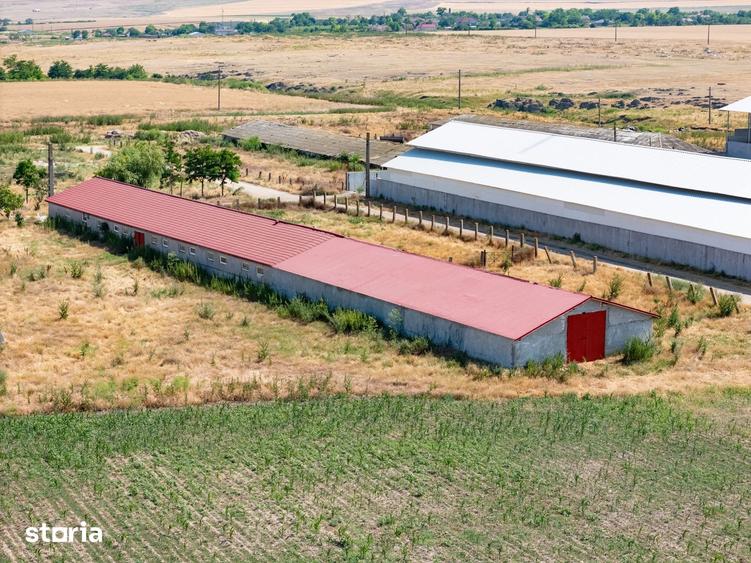 Teren de 29560 mp, în Cogealac
