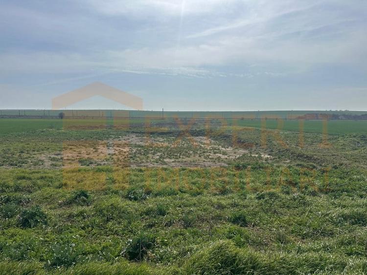 Teren Construcții intravilan de 10000 mp, în Valu lui Traian