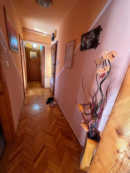Apartament cu 2 camere în Vasile Aaron