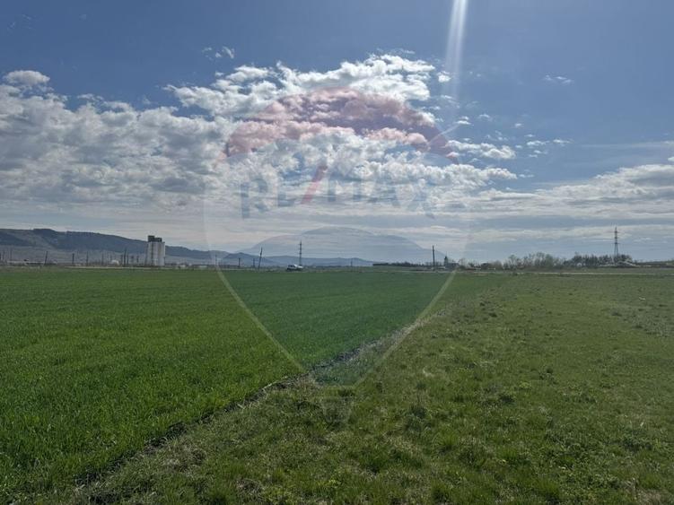 Teren Construcții extravilan de 8600 mp, în Luna de Jos