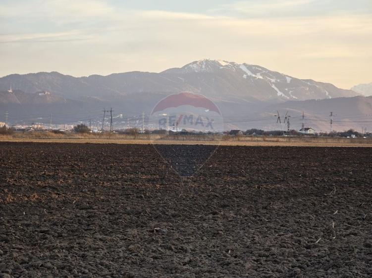 Teren agricol intravilan de 30000 mp, în Nord