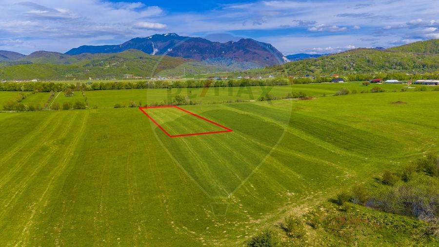 Teren agricol extravilan de 3000 mp, în Pănicel
