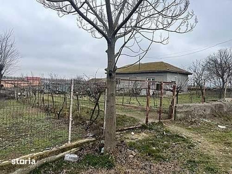 Teren de 10000 mp, în Cogealac