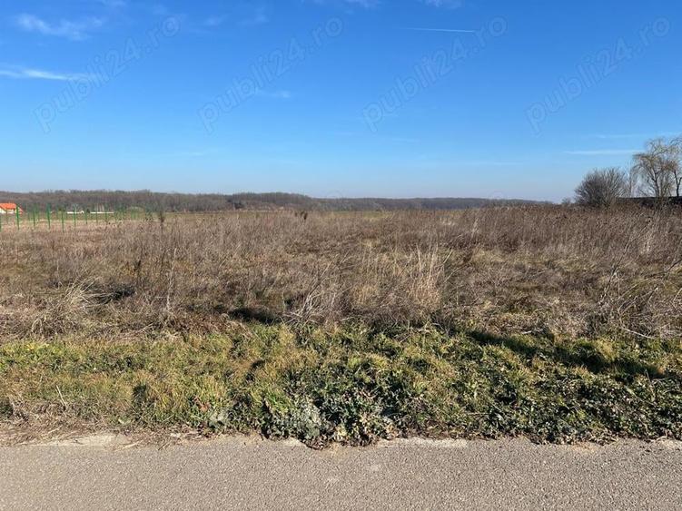 Teren de 1000 mp, în Grădiștea