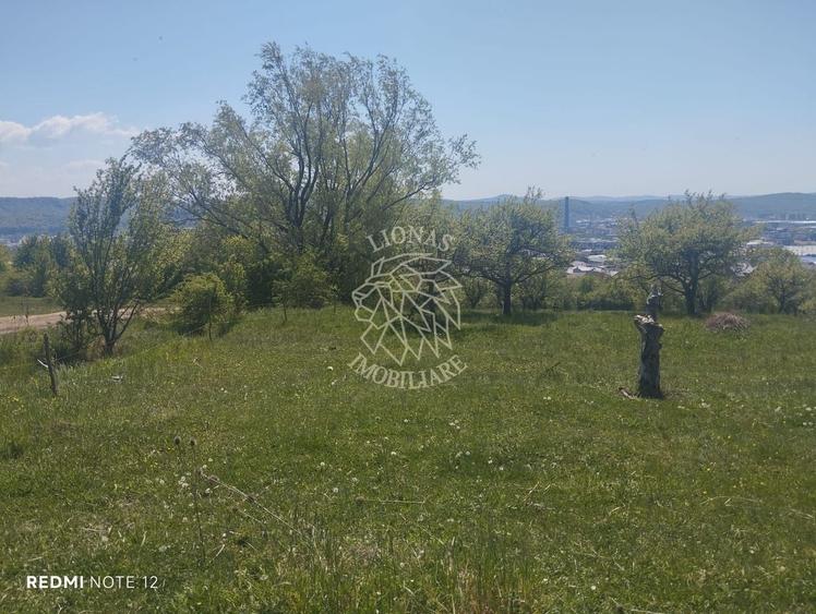 Teren agricol extravilan de 600 mp, în Cetății