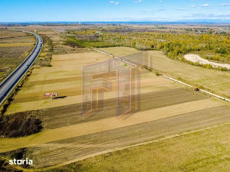 Teren de 31700 mp, în Uliești