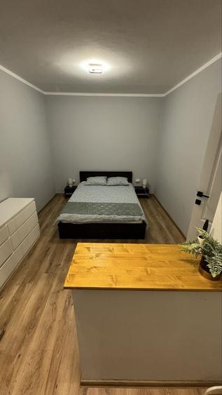 Apartament cu 2 camere decomandat în Dacia
