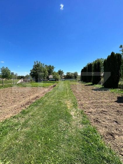 Teren Construcții extravilan de 2000 mp, în Careiului