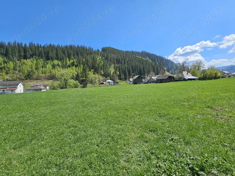 Teren de 5350 mp, în Pojorâta