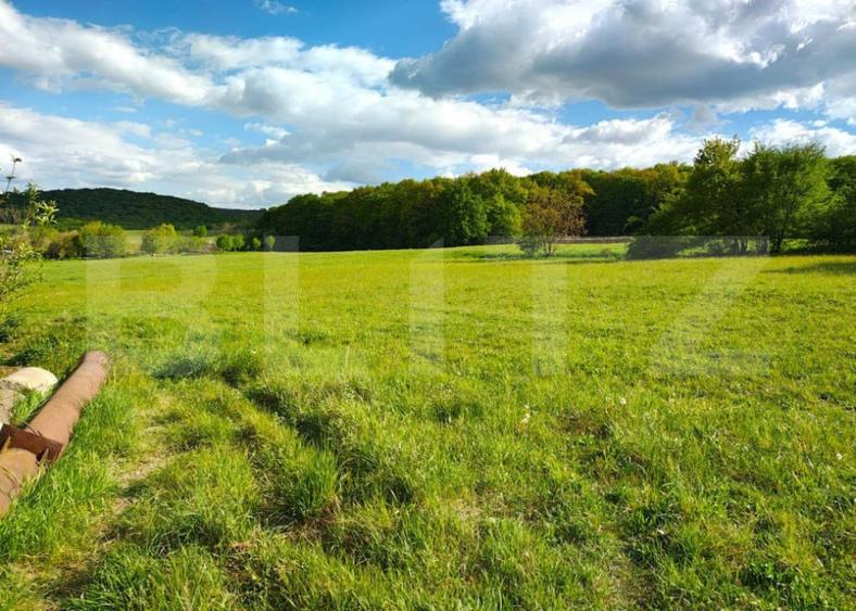 Teren de 3000 mp, în Remetea