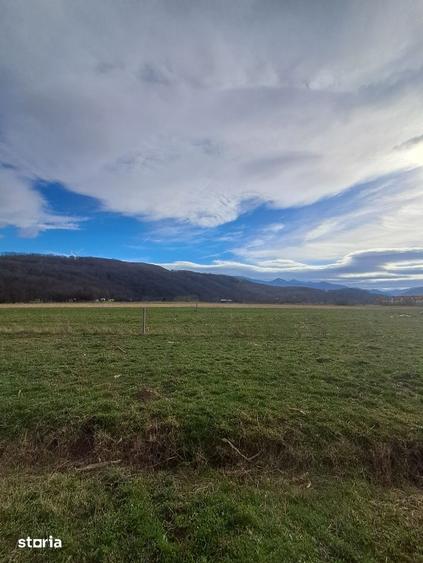 Teren de 500 mp, în Central
