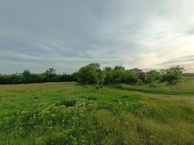 Teren de 644 mp, în Domnești