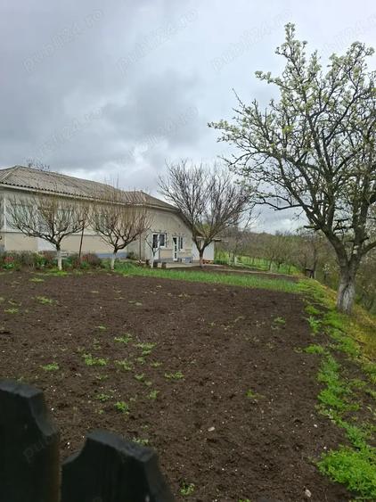 Casă cu 6 camere cu Teren 1900 Mp în Mihai Bravu