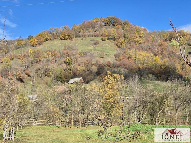Casă cu 3 camere cu Teren 2636 Mp în Central