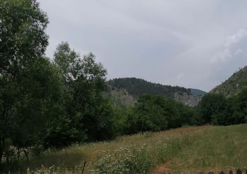 Teren în Central