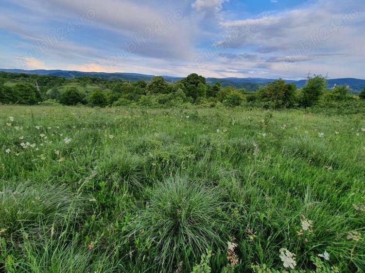 Teren de 8700 mp, în Calea Caransebeșului