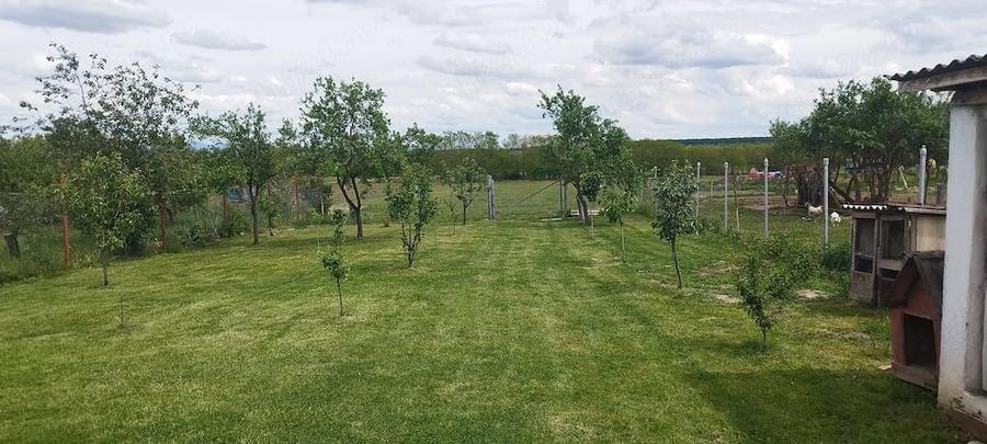 Casă cu 4 camere cu Teren 3500 Mp în Sâi