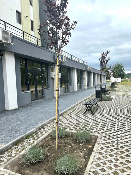 Spațiu comercial, de 82.400001525879 mp, în Central