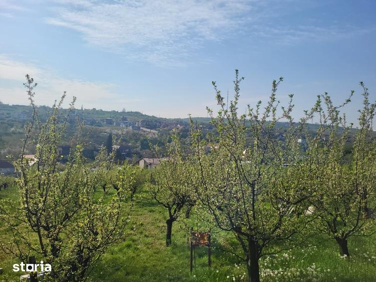 Teren de 3405 mp, în Spitalul Județean