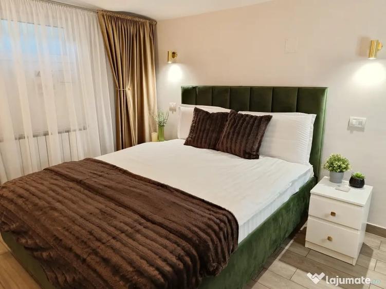 Apartament cu 2 camere semidecomandat în Parcul Carol