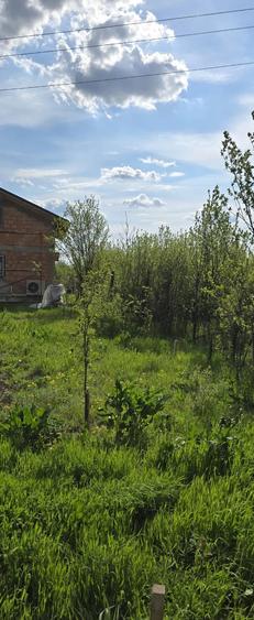 Teren de 5000 mp, în Vernești