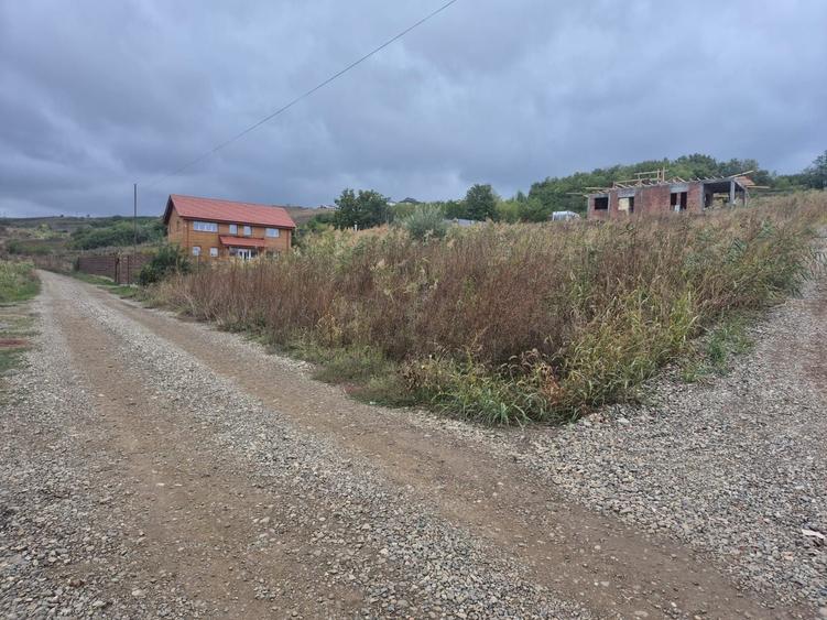 Spațiu comercial, în Valea Lupului